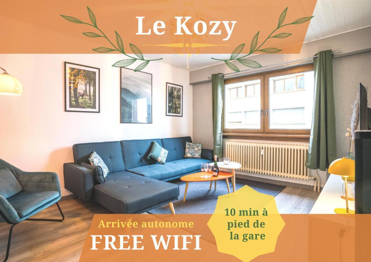 ساريبورج Le Kozy - Wifi - Centre Ville - Proche Commerces المظهر الخارجي الصورة
